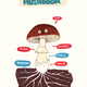 Illustration for article titled Discover the wonders of fungi in this iMushroom Fan Club/i exclusive em/em